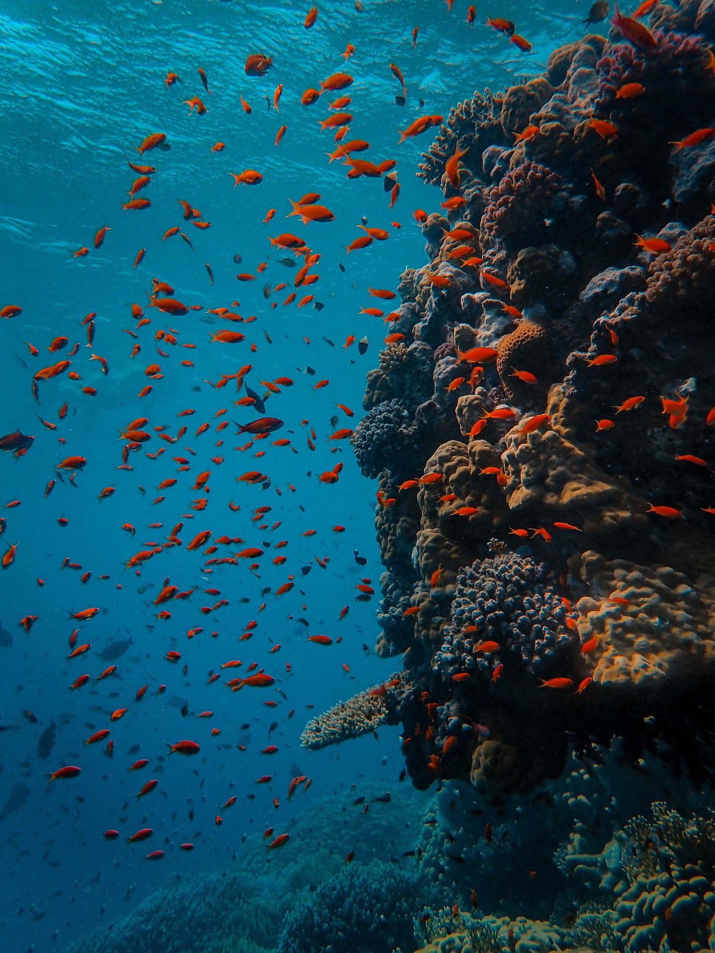 Underwater